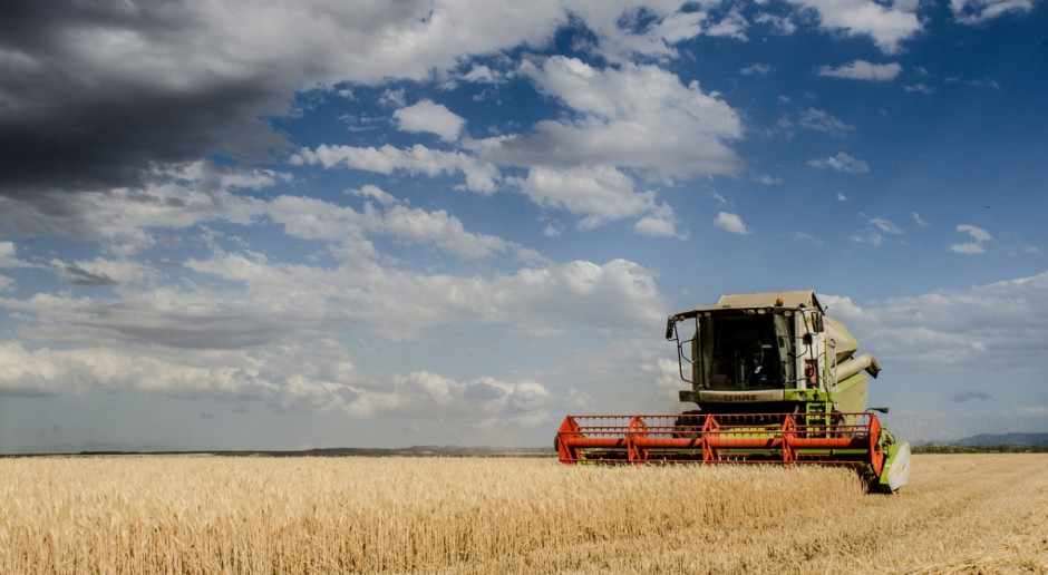 Według agronomyukraine do 7 lipca w Rosji zebrano 4 mln ton zbóż, a na Ukrainie 2 mln ton; Fot.pixabay.com Zbiory w Rosji i na Ukrainie