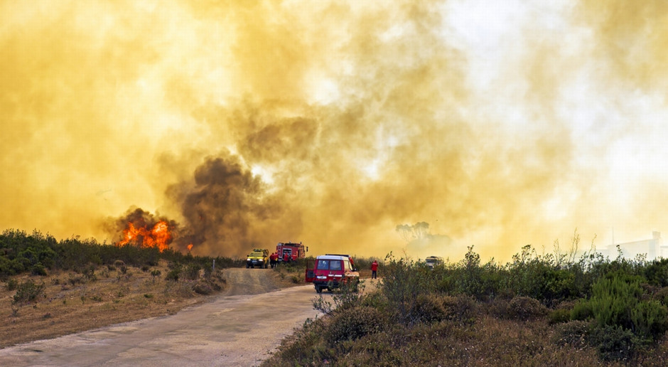 Fot. Shutterstock Włochy: Rekordowa liczba pożarów