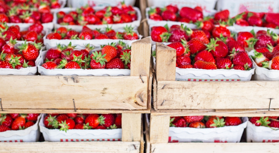 Fot. Shutterstock Jak kradzione truskawki… wpłynęły na spadek sprzedaży owoców