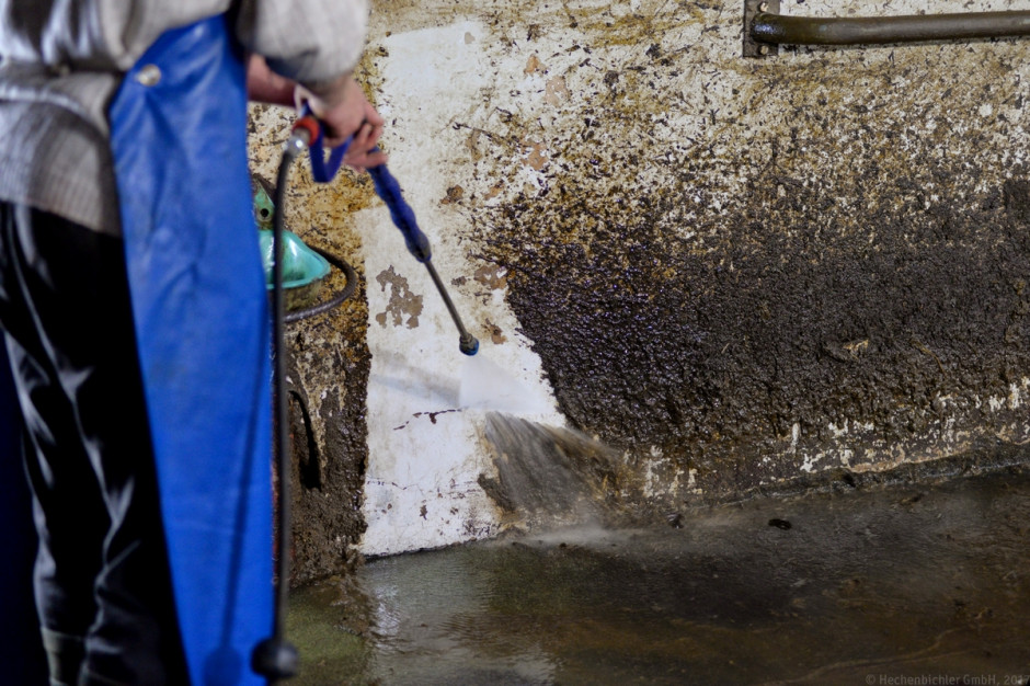Preparat Güllemax znacznie ułatwia zmywanie silnie zabrudzonych ścian w oborach, fot. Hechenbichler GmBH 