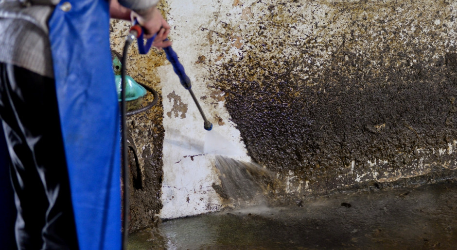 Preparat Güllemax znacznie ułatwia zmywanie silnie zabrudzonych ścian w oborach, fot. Hechenbichler GmBH Naturalne wsparcie higieny w produkcji zwierzęcej