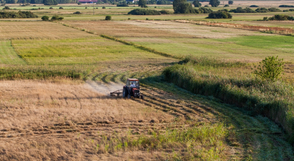 Fot. Shutterstock Jurgiel: Aktywizacja obszarów po b. PGR przewidziana w SOR