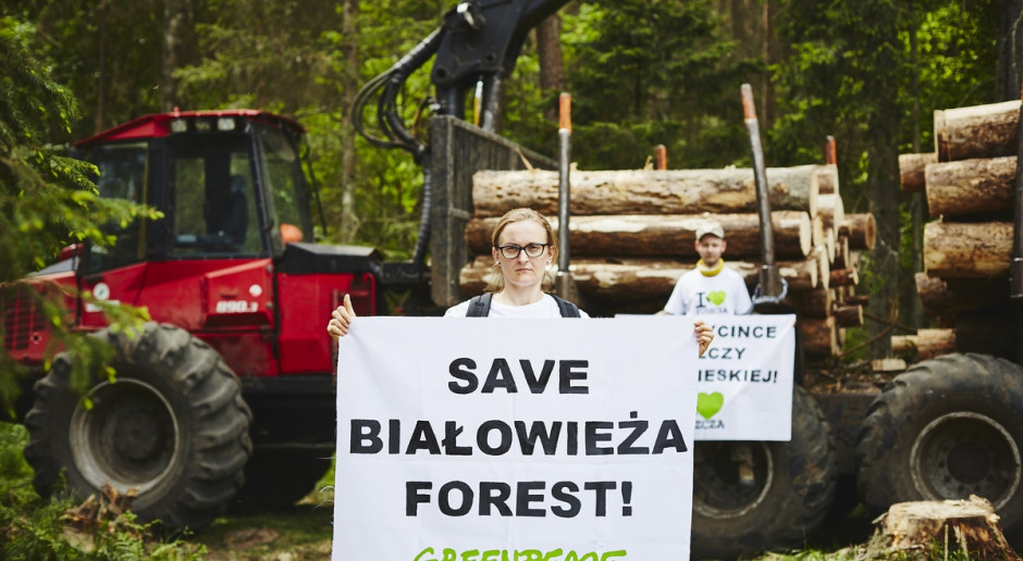 Fot. Grzegorz Broniatowski/ flickr.com/photos/greenpeacepl/ Ekolodzy: Decyzja KE do dobra wiadomość dla Puszczy Białowieskiej