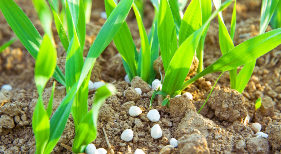 Fot. Shutterstock PE wykonał kolejny krok w kierunku ograniczenia metali ciężkich w nawozach