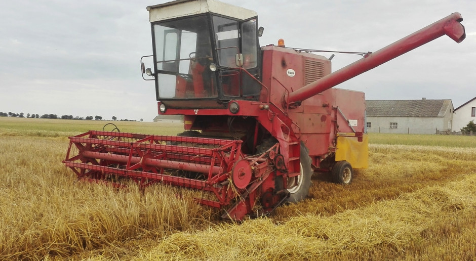 Na Kujawach pierwsze kombajny wyjechały na pola; Fot. Anna Kobus Małe żniwa rozpoczęte