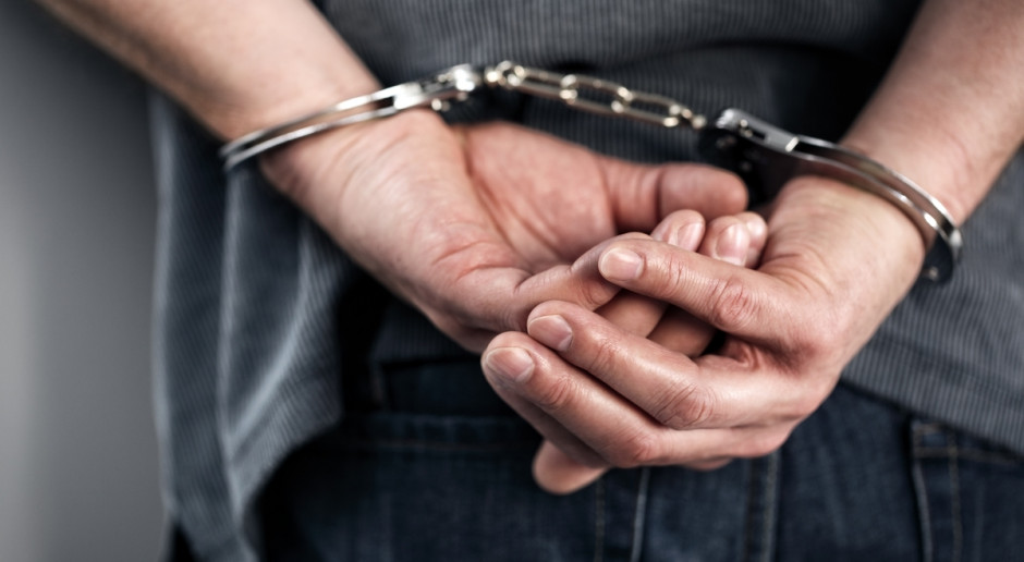 Fot. Shutterstock Europol: 66 aresztowanych w związku ze skandalem z koniną