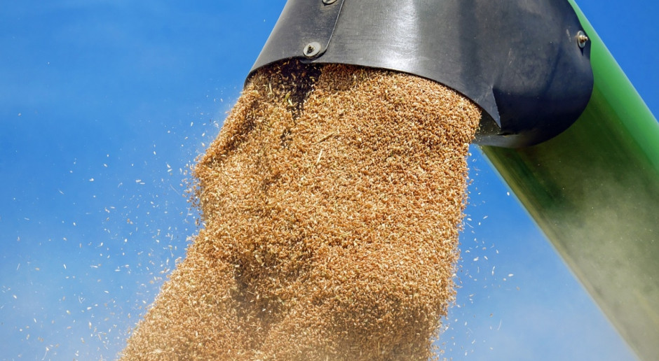 Niemcy: Nowa prognoza zbiorów zbóż – korekta w górę
