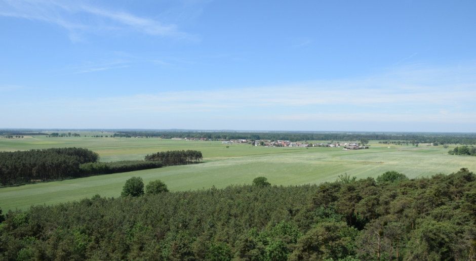 Fot. Shutterstock B. dyrektor WODR oskarżona o wyrządzenie wielomilionowej szkody