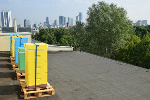 Na dachu resortu środowiska zamieszkały pszczoły