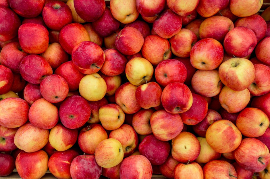 Polska firma kupuje jabłka u rolników i dostarcza do białoruskiej firmy. Do nas te owoce trafiają całkowicie legalnie, po uiszczeniu należnych podatków i opłat; Fot. Shutterstock