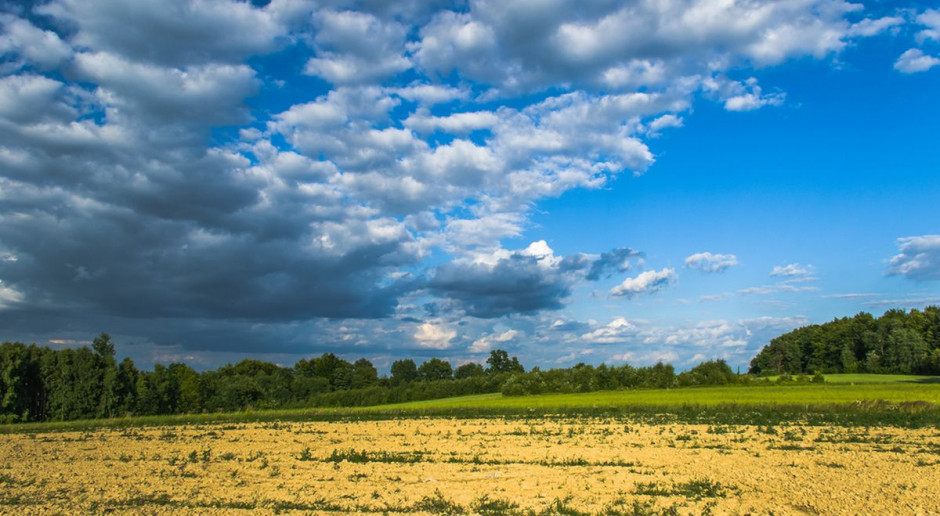 Podkarpacie; Fot. Shutterstock Podkarpackie: Powstanie strategia rozwoju rolnictwa i obszarów wiejskich