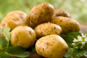 Czy ziemniaki mają „super moc”?