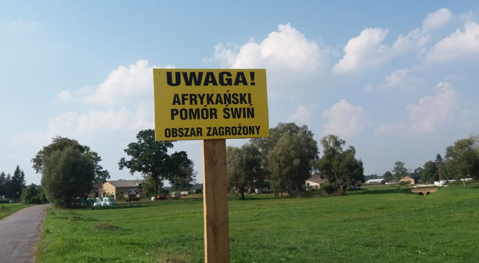 W przyjętym stanowisku sejmik wyraził zaniepokojenie rozprzestrzenianiem się ASF w północno-wschodnich regionach Polski, szczególnie w Lubelskiem, gdzie w tym roku stwierdzono najwięcej ognisk tej choroby; Fot. JG Lubelskie: Sejmik chce stanu klęski żywiołowej w związku z ASF