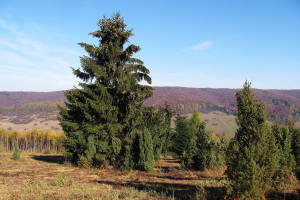 Podkarpackie: Ponad 152 mln zł na scalenie gruntów rolnych