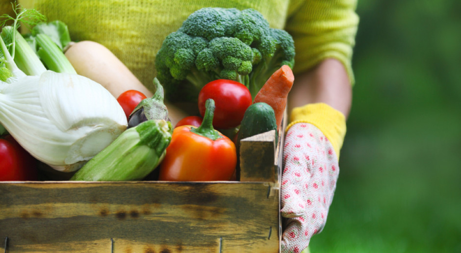 Fot. Shutterstock Jurgiel: Rynki hurtowe oferują produkty od polskich rolników