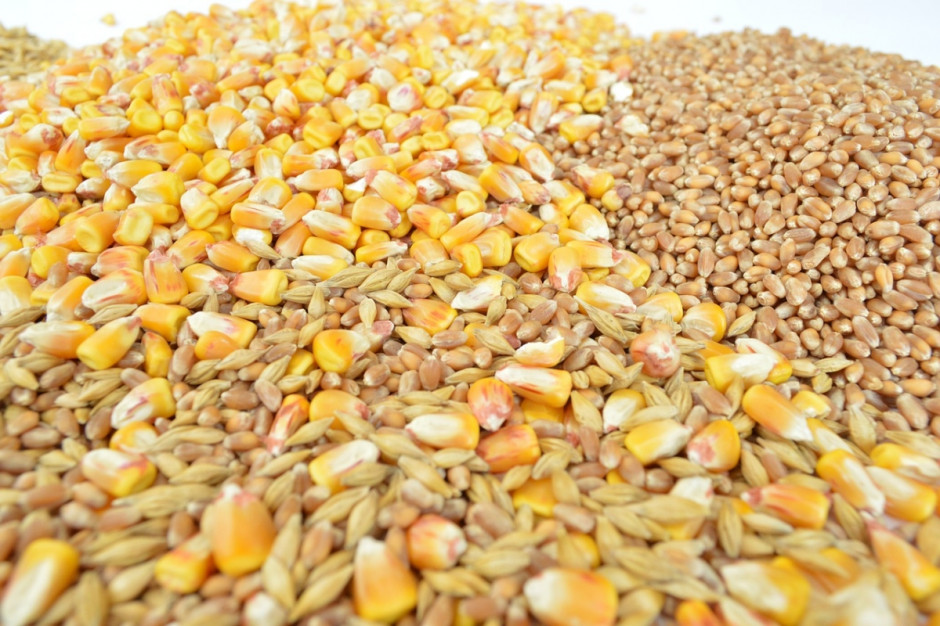 Międzynarodowa Rada Zbożowa (IGC), w lipcowej prognozie obniża szacunki światowej produkcji zbóż w sezonie 2017/2018 o 11 mln ton; Fot. pixabay.com