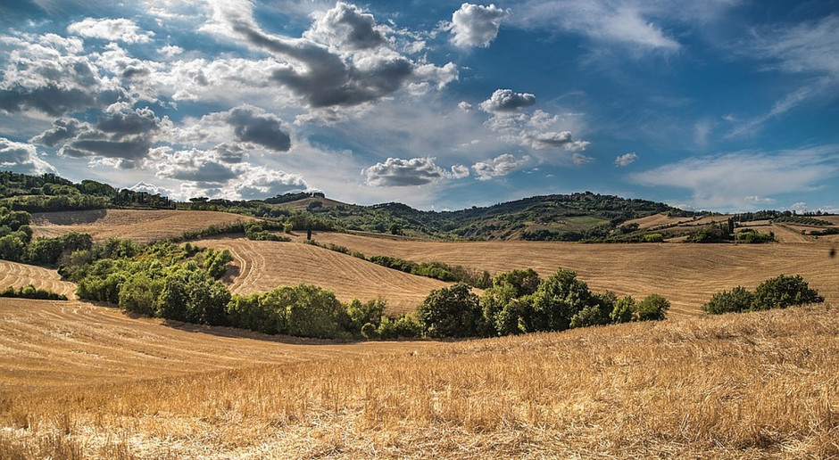 Fot. Pixabay Ważne zmiany w programach rolno-środowiskowo-klimatycznych z PROW