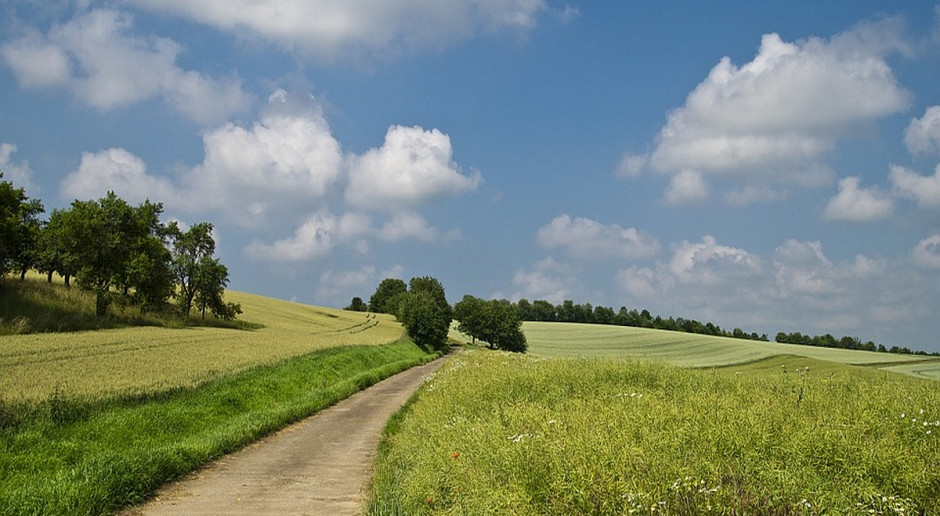 Fot. Pixabay ANR zasila budżet państwa