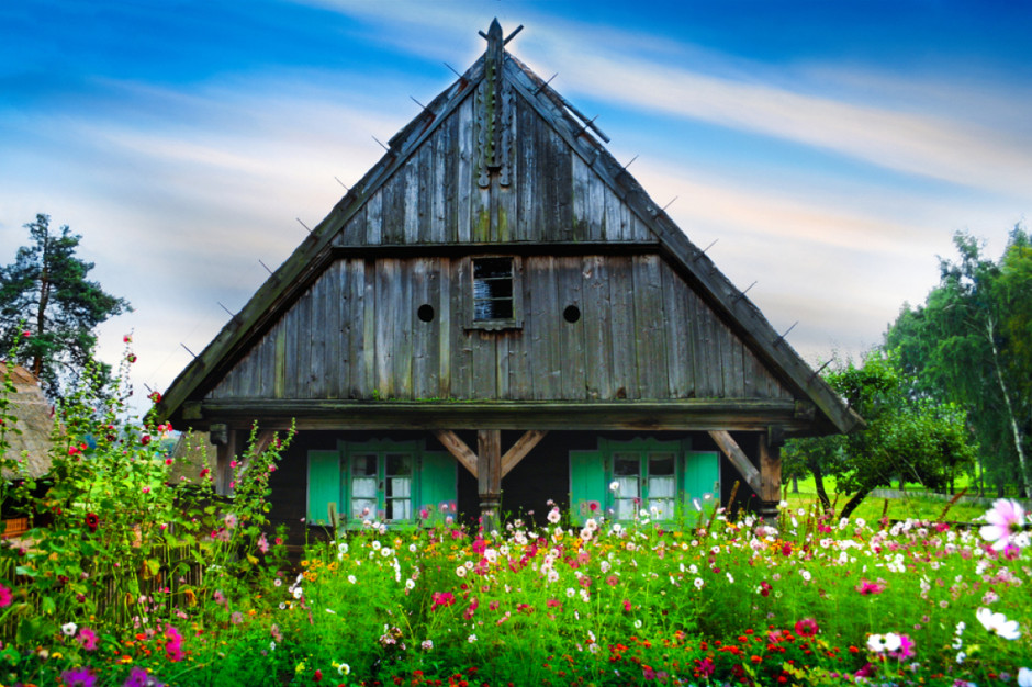 fot. shutterstock