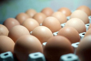 Niemcy: Sklepy Aldi wycofują ze sprzedaży wszystkie jajka