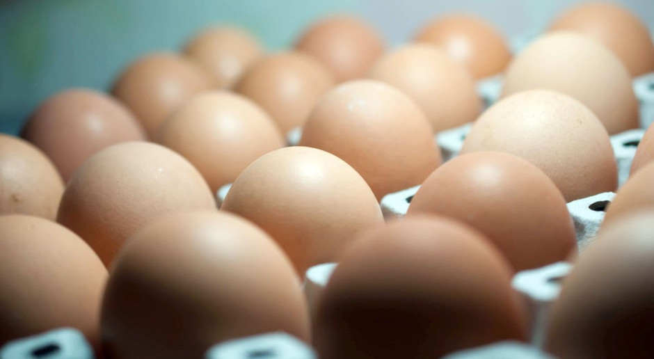 Fot. Shutterstock Niemcy: Sklepy Aldi wycofują ze sprzedaży wszystkie jajka