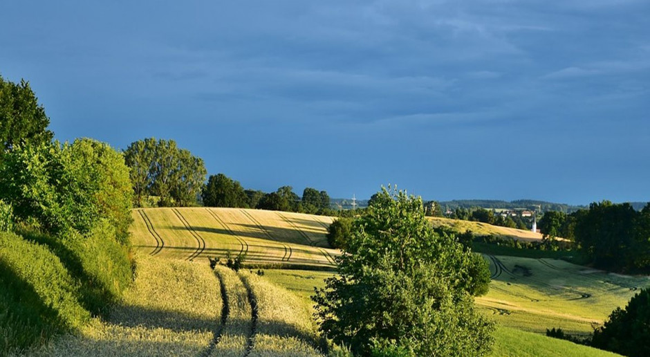 fot. Pixabay Kto dzierżawi ziemię od ANR?