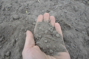 Okres pożniwny – czas analiz gleby