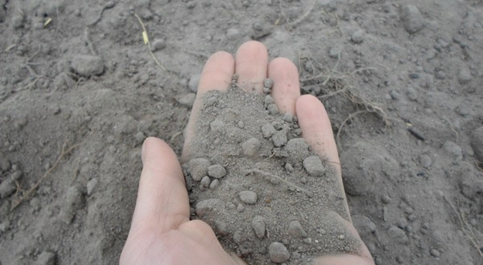 Prób gleby do analiz nie pobiera się wcześniej niż 8 tygodni po nawożeniu mineralnym i 12 tygodni po nawożeniu organicznymi; Fot. Katarzyna Szulc Okres pożniwny – czas analiz gleby