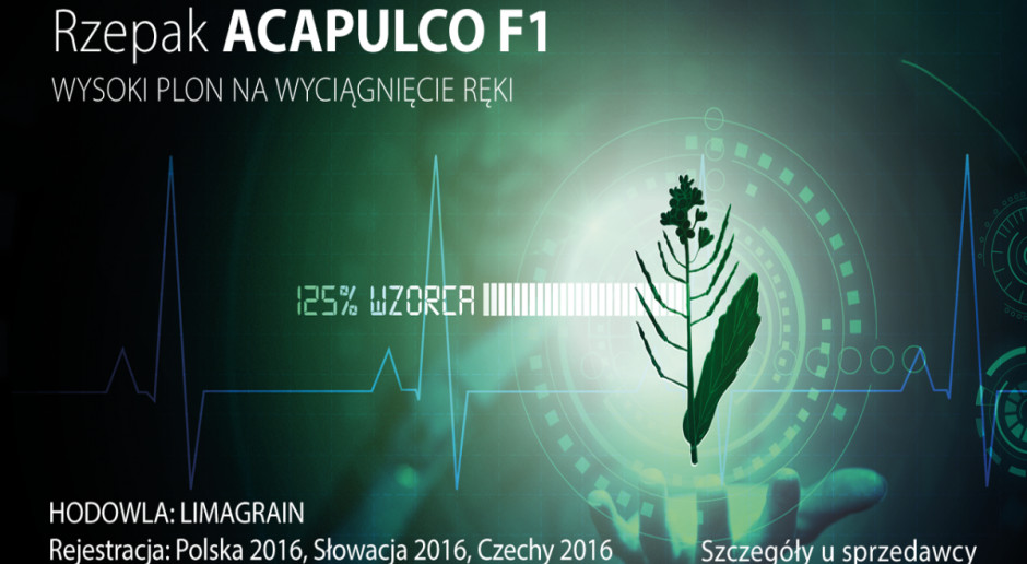 Rzepak ozimy F1 Acapulco- wysokie plonowanie potwierdzone w pierwszych wynikach z doświadczeń PDO w 2017