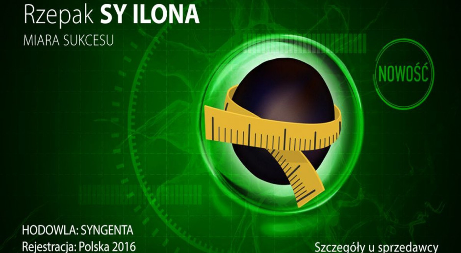 Rzepak ozimy SY Ilona - nowy standard wśród odmian liniowych