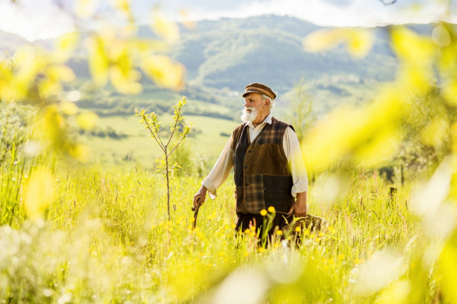 Jesteśmy jedynym obok Austrii krajem w UE, gdzie młodzi rolnicy stanowią więcej niż 10 proc. gospodarzy. Fot. Shutterstock
