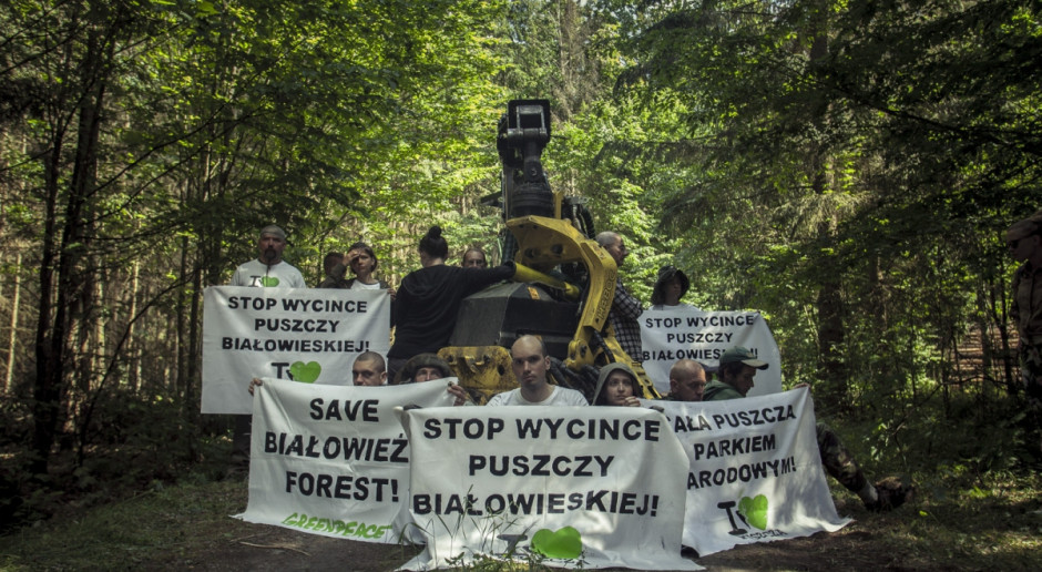 Piąta blokada wycinki Puszczy Białowieskiej, fot. Rafał Wojczal/Greenpeace/Flickr.com Proces osób obwinionych wz. z blokowaniem wycinki w Puszczy Białowieskiej