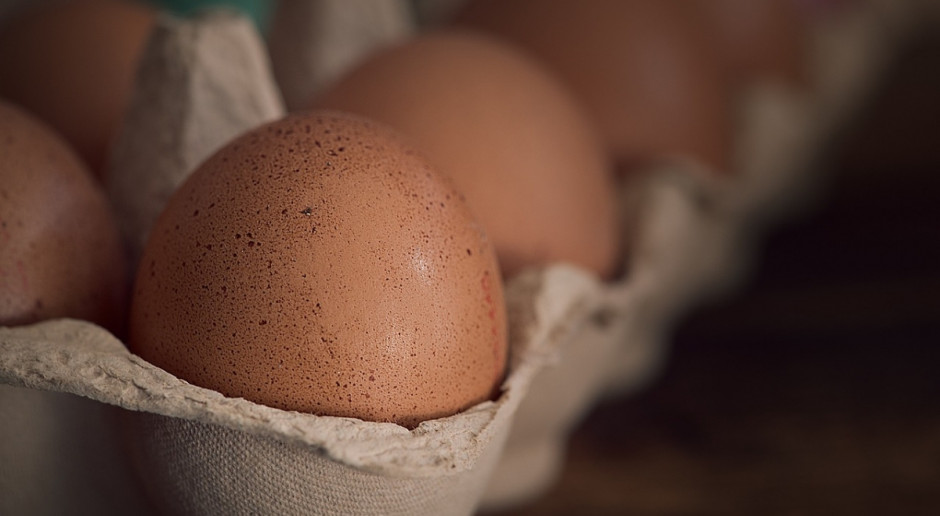 Światowa Organizacja Zdrowia uważa fipronil za umiarkowanie toksyczny i podaje, że jego bardzo duże ilości mogą powodować uszkodzenie nerek, wątroby i gruczołów limfatycznych, fot. Pixabay Luksemburg: Jaja skażone fipronilem w sklepach Aldi