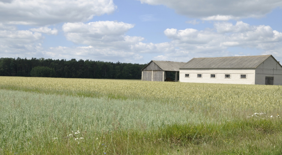 O pieniądze mógł się starać rolnik lub jego rodzina, jeżeli są ubezpieczeni w KRUS przez co najmniej ostatnie 2 lata, a rolnik otrzymuje dopłaty bezpośrednie. Fot. A. Królak Rolnicy ze wschodniej Polski nie są zainteresowani działalnością pozarolniczą