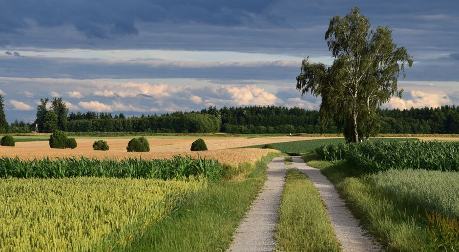 fot. Pixabay Scalanie gruntów będzie łatwiejsze