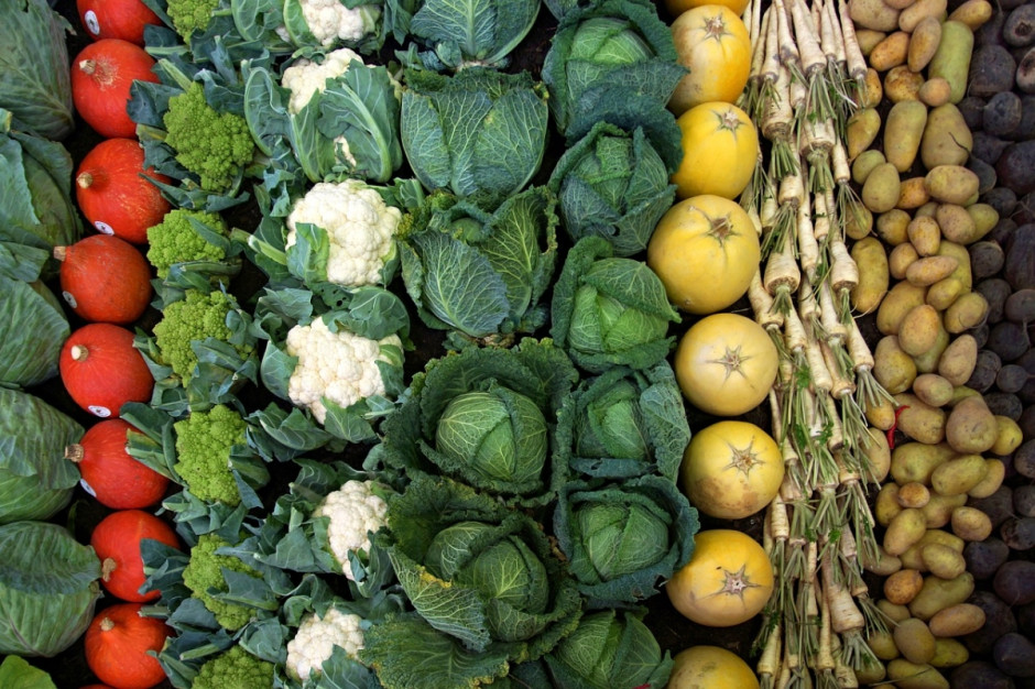 Według Eurostatu, ciągle rośnie udział Maroka, Turcji i Egiptu w unijnym rynku warzyw importowanych (Fot. pixabay.com)