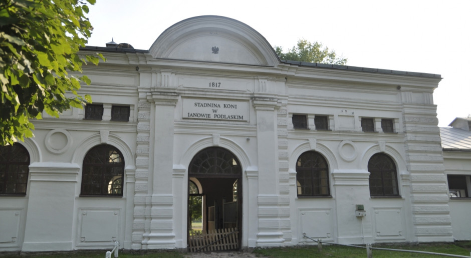 Fot. A. Królak Ogier Pogrom najlepszym koniem pokazu w Janowie Podlaskim