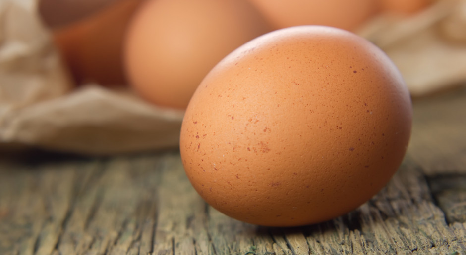 Fot. Shutterstock Austria: Wykryto skażenie produktów jajecznych fipronilem