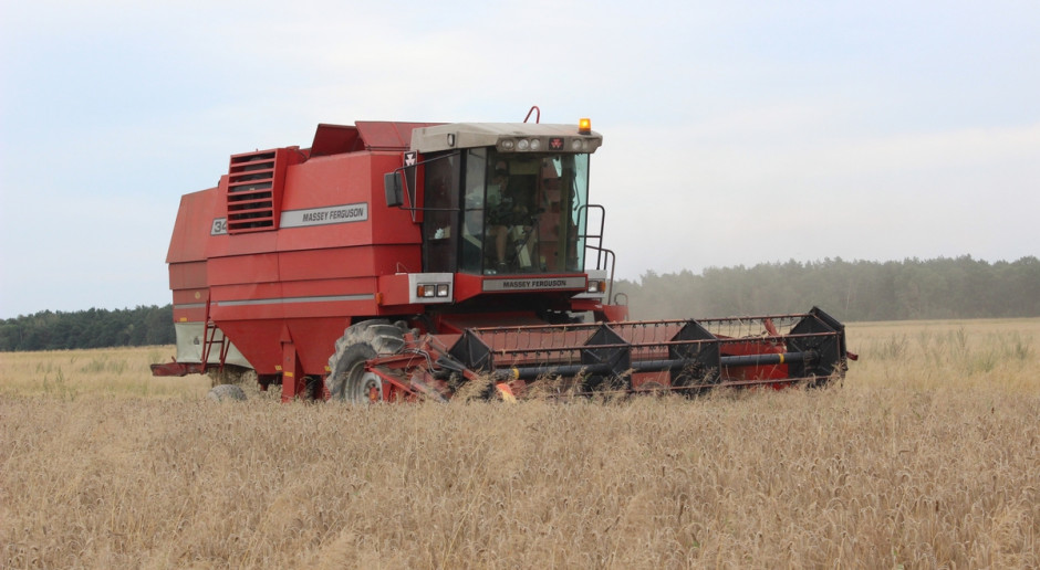 Fot. W. Denisiuk Producenci zbóż: Zebrano większość zbóż