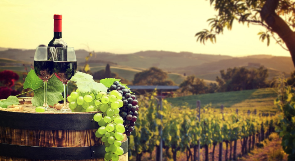 Fot. Shutterstock Francja: Winobranie rozpoczęte: zbiory będą mniejsze, ale jakość wysoka
