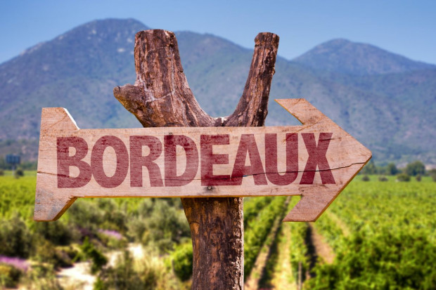 We Francji produkcja wina spadnie w tym roku o 29 proc.