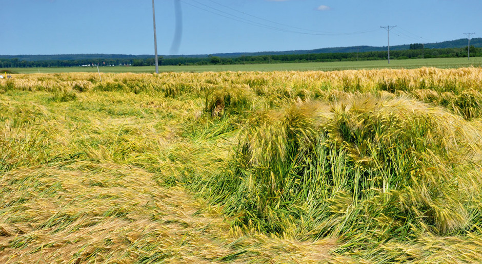 Fot. Shutterstock Gradobicie, burze, nawałnice... i niekorzystne odszkodowania