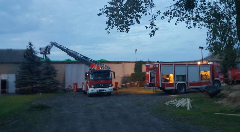Fot. Anna Mojzesowicz MEN: 5 mln zł dla dzieci z terenów dotkniętych nawałnicami