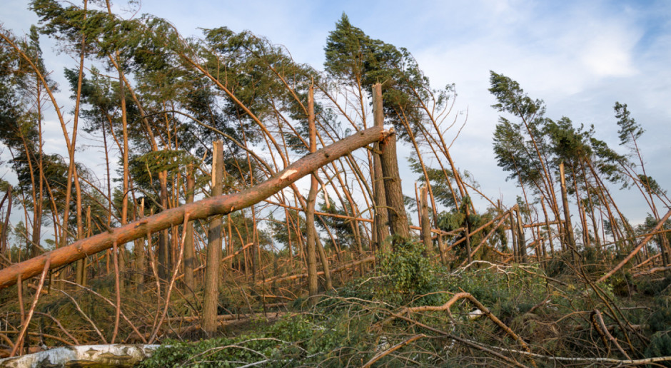 Fot. Shutterstock Kosiniak-Kamysz: PSL złoży projekt zmian w ustawie o stanie klęski żywiołowej