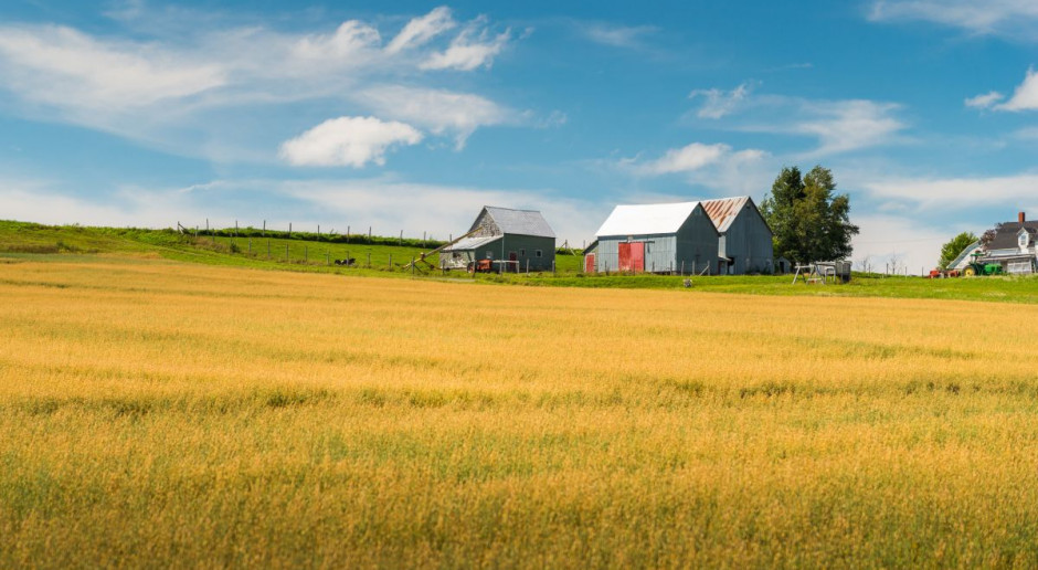 Fot. Shutterstock Przez zmiany klimatu Kanadyjczycy zapłacą więcej za żywność