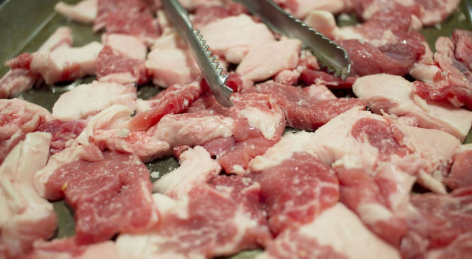 Fot. Pixabay.com Ukraina wstrzymuje import świń, wieprzowiny i pasz z Lubelszczyzny i Mazowsza