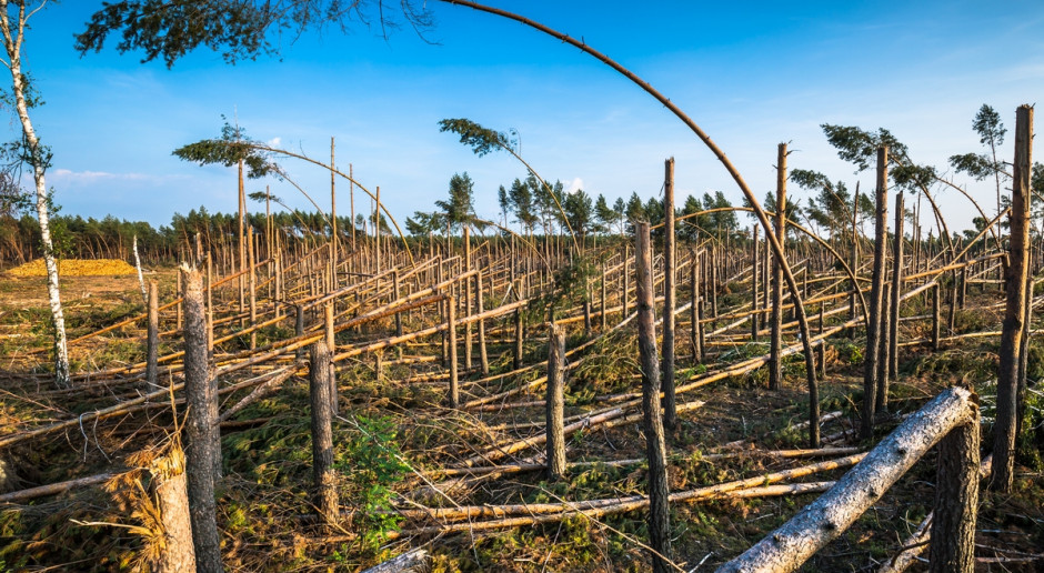 Fot. Shutterstock PSL apeluje do rządu o pomoc dla rolników w woj. zachodniopomorskim