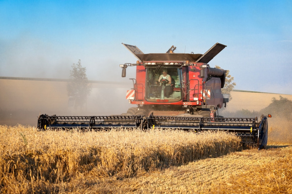 Według instytutu koniunktury rynków rolnych (IKAR) całkowite zbiory zbóż w Rosji w 2017 r. mogą wynieść 127 mln ton; Fot. pixabay.com