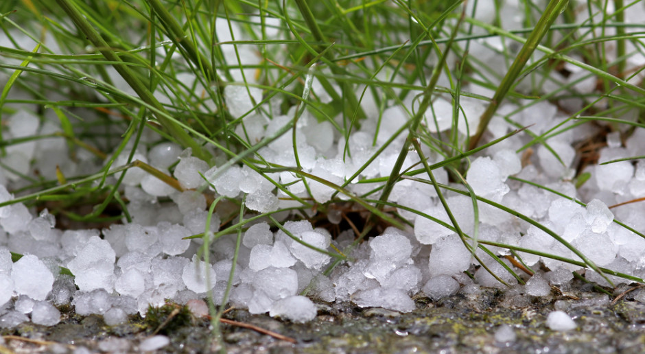 fot. Shutterstock IMGW: W czwartek na północnym zachodzie kraju - możliwe burze z gradem