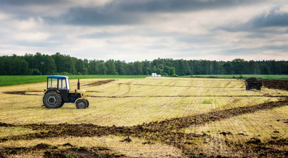 fot. Shutterstock Rusza Krajowy Ośrodek Wsparcia Rolnictwa